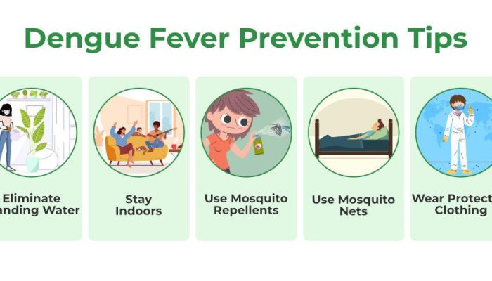Dengue-Fever-Prevention-Tips