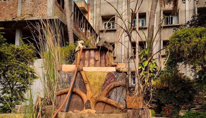 Shaheed Hospital: Started as a part of Peoples Health Movement - The ...