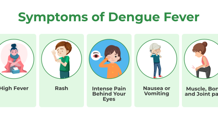 Symptoms-of-Dengue-Fever