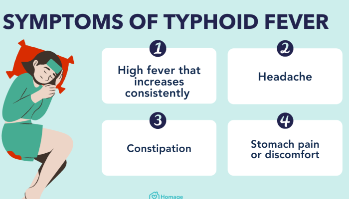 Typhoid-Fever-Homage-MY