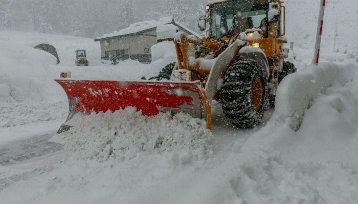 WhatsApp Image 2025-11-13 at 11.31.20 AM