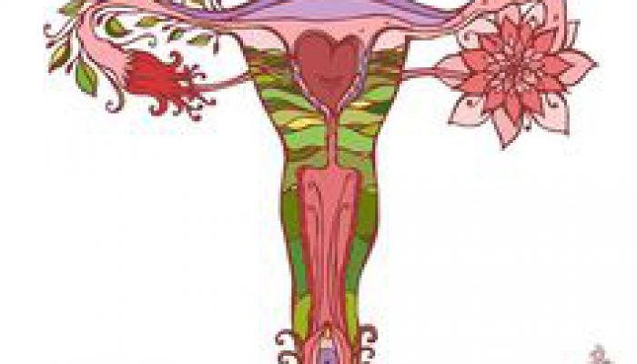 d73802fe88c11435ff997b7145dfdb11--uterus-feminine